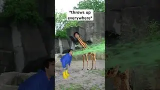 Когда заболел в день экскурсии 🤣 #шорты #уместно