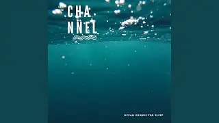 Salt Water Serenity