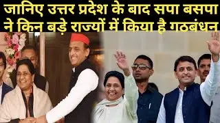 Know what the BSP has done in Uttar Pradesh after the coalition