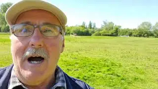 Alpaca care - Hensting Alpacas