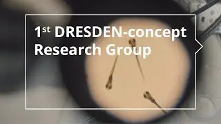 Excellent research in Dresden: DRESDEN-concept Research Groups