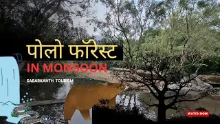 Polo forest trecking  | पोलो फॉरेस्ट  |  ahmedabad SR VLOGS #poloforest#sabarkantha#vlog