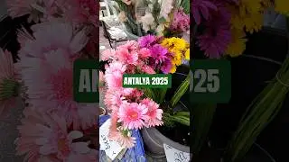 Antalya Bazaar 2025 &ndash; Local Prices & Vibes 🇹🇷 #market