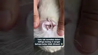Oxyfresh Pet Ear Cleaner - Best Selling Pet Ear Cleaner in Malaysia
