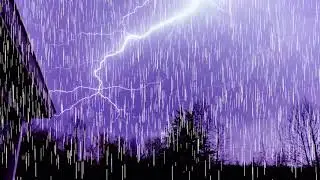 10 hours Hurricane Delta 2020 rain on a tin roof