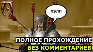 Каджит Воин с повышением уровня | БЕЗ КОММЕНТАРИЕВ | 4K60FPS