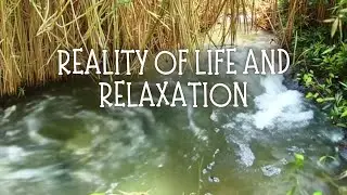 Japanese Shakuhachi Flute Meditation - Meditation and Intuition, For Students who Can't Sleep