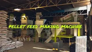pellet feed making machine ll cattle feed pellet machine #cattle #pelletfeed #feedmill #feed #share