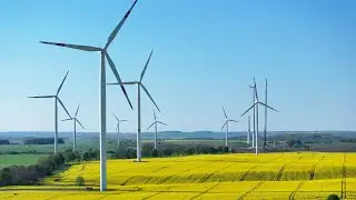 Wind farm project in Victoria will &lsquo;threaten&rsquo; bird populations as 105 turbines to be built