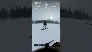Tracking down our park 🐀 friends... they stay shredding