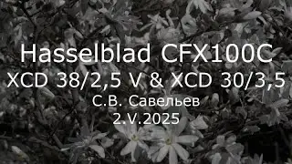 С.В. Савельев - Hasselblad CFX100C XCD 38/2,5 V & XCD 30/3,5
