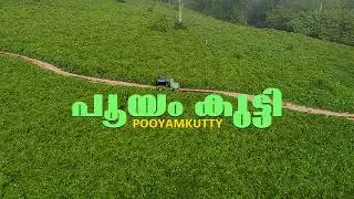 പൂയംകുട്ടി' കാടിന്റെ ഉള്ളിലെ ഒളിഞ്ഞ സ്വർഗ്ഗം |pooyamkutty| Solo Ride #mamalakandam #soloride