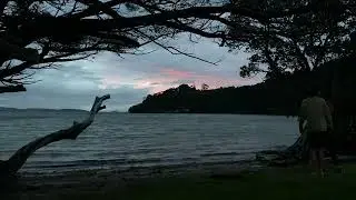 Coromandel - Shelly Beach TOP 10 Holiday Park