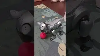 Mein Aibo ist kein Spielzeug