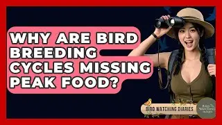 Why Are Bird Breeding Cycles Missing Peak Food? - Bird Watching Diaries