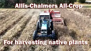 Allis-Chalmers All-Crop | Native Plant Harvesting (Interior & Field Views)