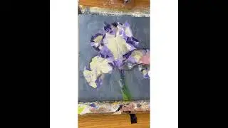 Iris Purple