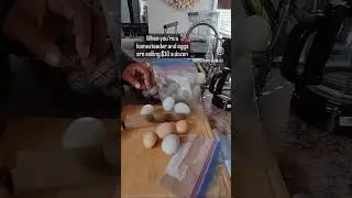 Egg dealer: When eggs are  $10 dozen.  #egg #eggs #healthy #homestead #backyardchickens  #funny
