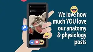 Visible Body Wins Gold at 2018 Davey Awards