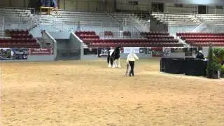 2015 Feathered Horse Classic &ndash; National Championship on January 14, 2016