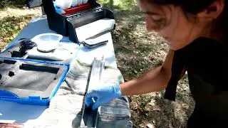 Verdem&atilde;