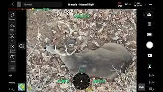 Wildlife Survey: Nice Buck Made It Through Season