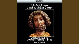 I. Il magnanimo Pietro