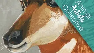 Animal Artists Collective // Ungulates &mdash; Pronghorn // Mary Sanche