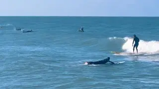 Gulf surf conditions 12/31/25 Manatee County
