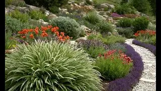 The Beauty of Alpine Gardening Hardy Plants for Tough Spots