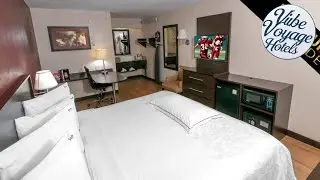 Red Roof PLUS+ Washington DC - Alexandria | Alexandria (VA), United States | Hotel Review 🏩