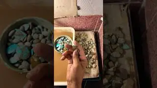 Workshop vibes:Turquoise