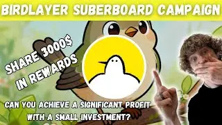 BirdLayer&rsquo;s Linea Gas Free Fest Campaign on Superboard!!