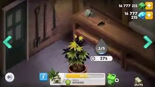 hack Hempire- jeu de culture de plant