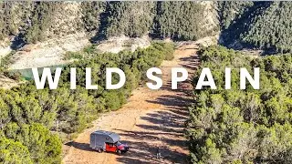 A Hidden Spot in Spain  And Then the Deer Appeared 🦌✨