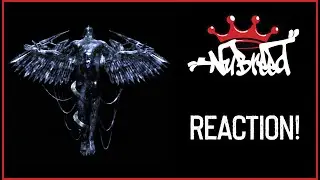 Nu-Breed Reacts! - Fromjoy - Fromjoy