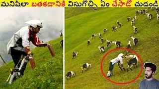 మనిషిలా బతకడానికి విసుగొచ్చి ఏం చేసాడో చుడండి || Amazing Facts Ever Listen Part 250 || ALK Facts