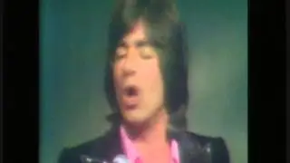 ringo les oiseaux de thailande