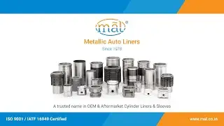 Metallic Auto Liners