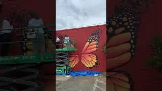 Butterfly Wings Mural
