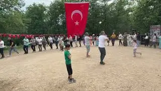 Mecit Yiğit Ellik