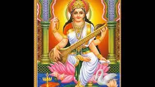 Niraj Fact  Live Stream