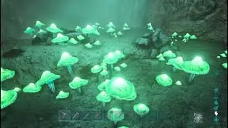 Mega Rabies! (Quick)