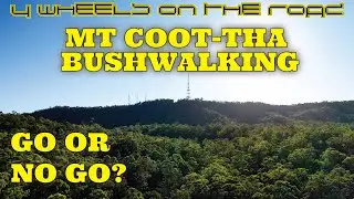 Mt Cootha I Bushwalking I Go Or No Go? I Best Trails In Brisbane!