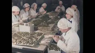 Nestlé Perugina - una storia a colori