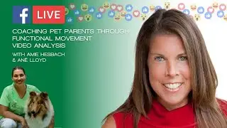 Coaching Pet Parents through Functional Movement Video Analysis, with Amie Hesbach
