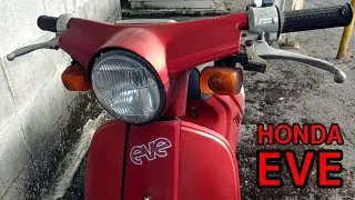 【草ヒロ】HONDA EVE