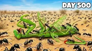 Simulating an Ant Colony For 500 Days