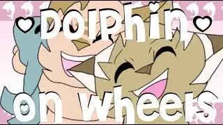 Dolphin on Wheels ll Meme