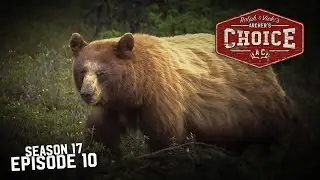 Monster Manitoba Black Bears! - Part 2 - Archer&rsquo;s Choice (Full Episode) // S17: Episode 10